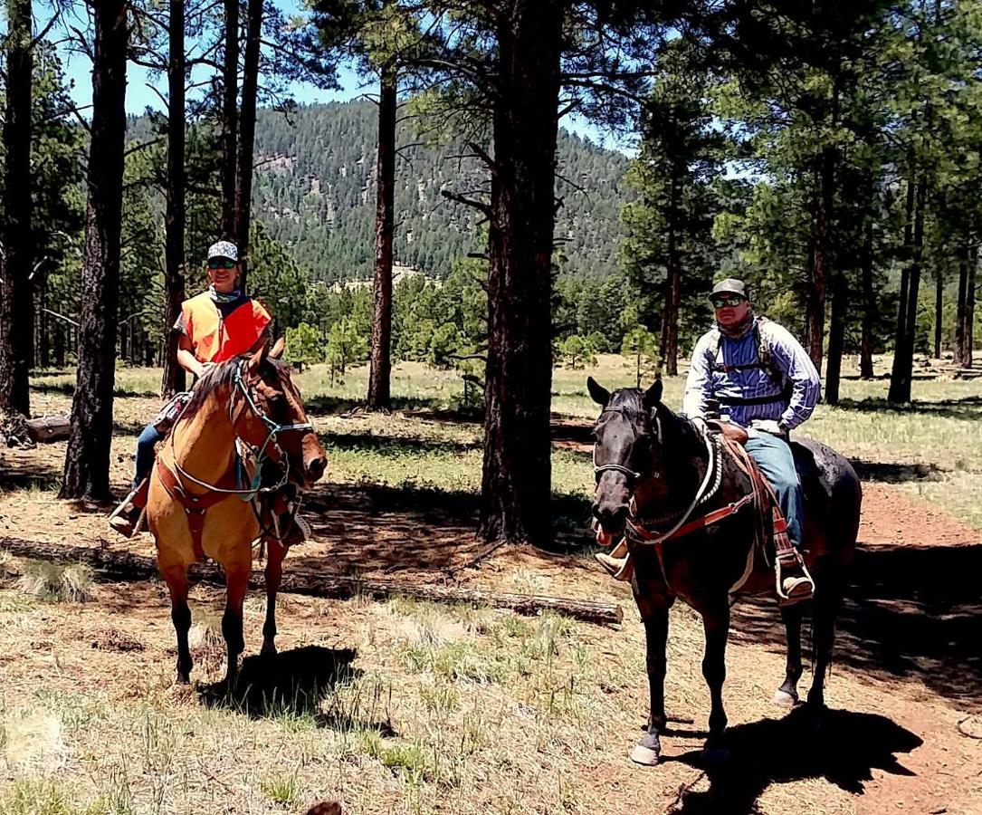 Grand Canyon 1Bd Loft/Suite-Horseback Riding-Shooting-Dogs Ok! Parks Eksteriør bilde